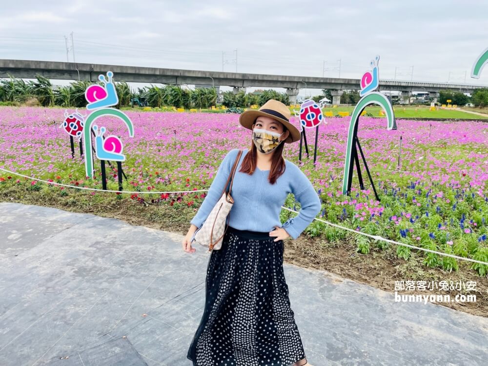 2024桃園楊梅仙草花節一日遊，走進南法紫色普羅旺斯