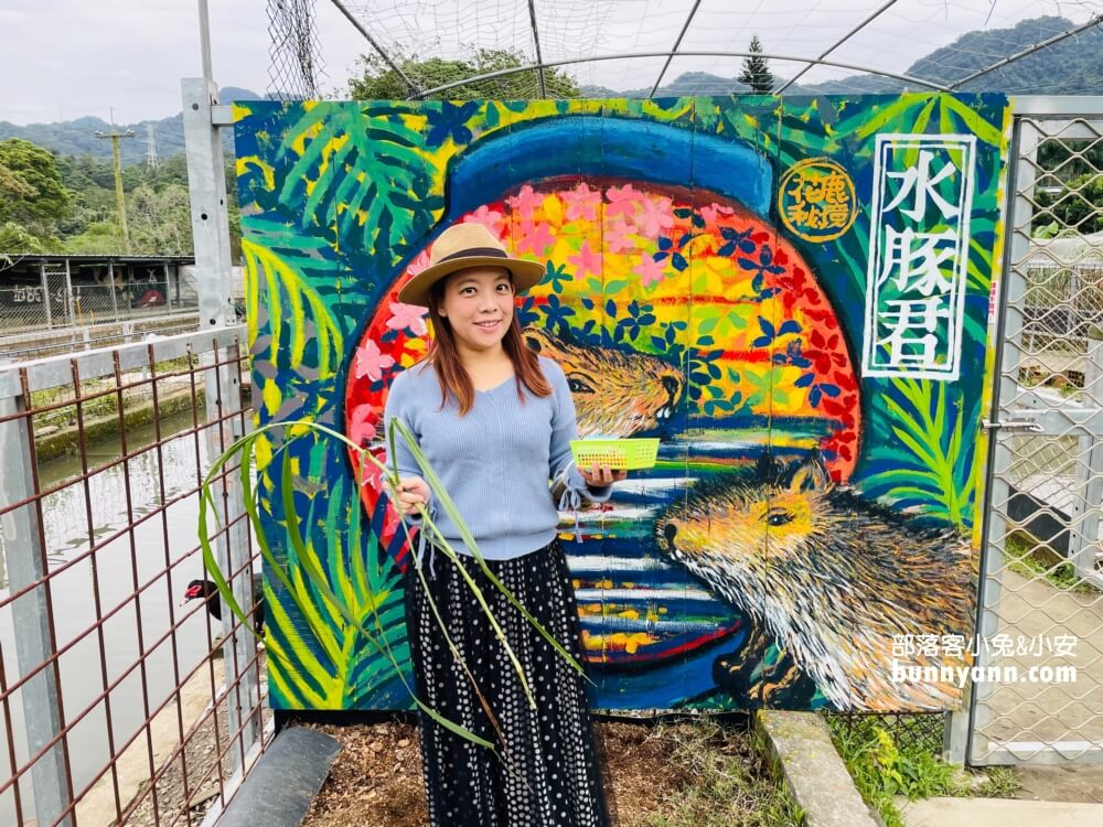 桃園「花鹿秘境」餵水豚和梅花鹿吃飯，暢遊李家摸蜆農場