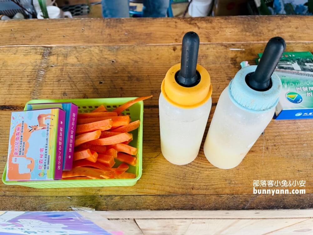 桃園「花鹿秘境」餵水豚和梅花鹿吃飯，暢遊李家摸蜆農場