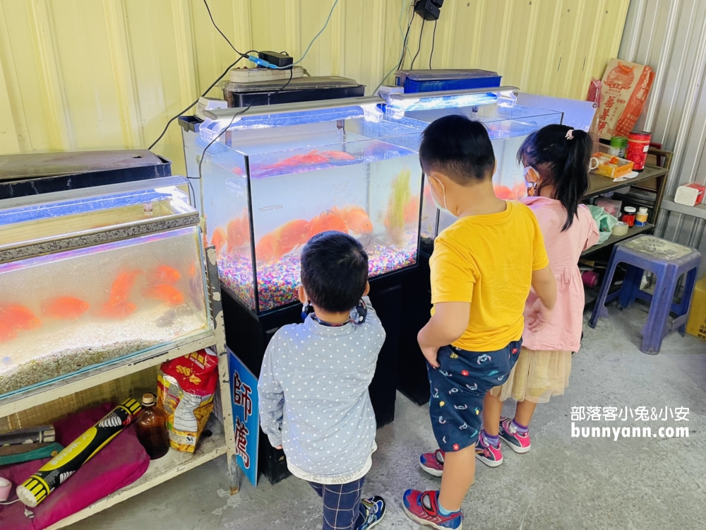 屏東美食沿海鮮魚湯推薦，在地人一早必吃鮮魚湯&肉燥飯