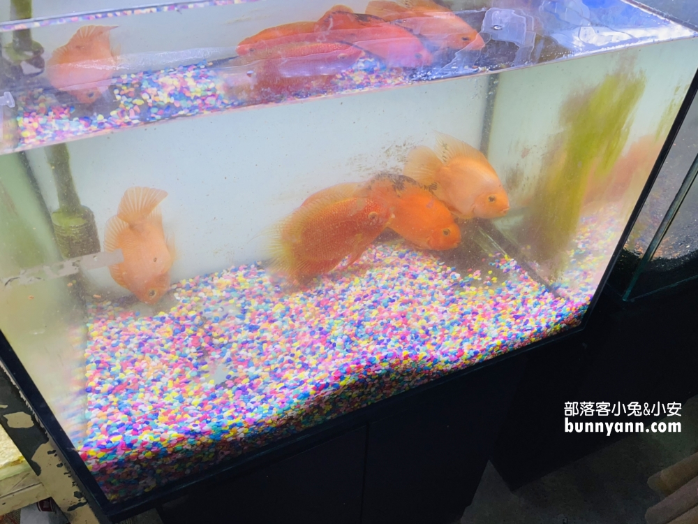 屏東美食沿海鮮魚湯推薦，在地人一早必吃鮮魚湯&肉燥飯