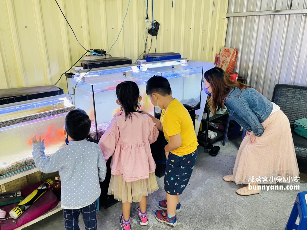屏東美食沿海鮮魚湯推薦，在地人一早必吃鮮魚湯&肉燥飯
