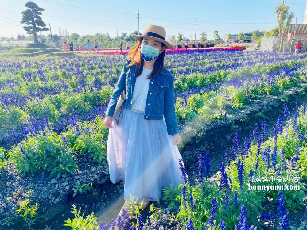 彰化景點》董家花田，田尾繽紛四季花海，戶外野餐好地方