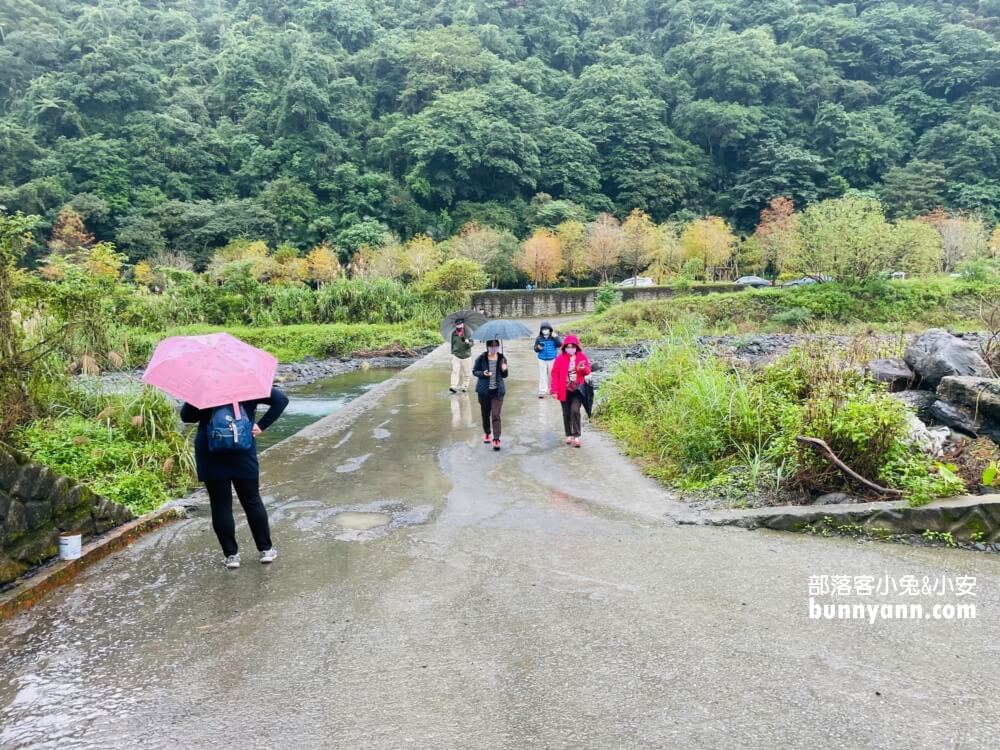 宜蘭三層坪農塘教育園區夠美嗎?漫步階梯水塘落羽松小徑