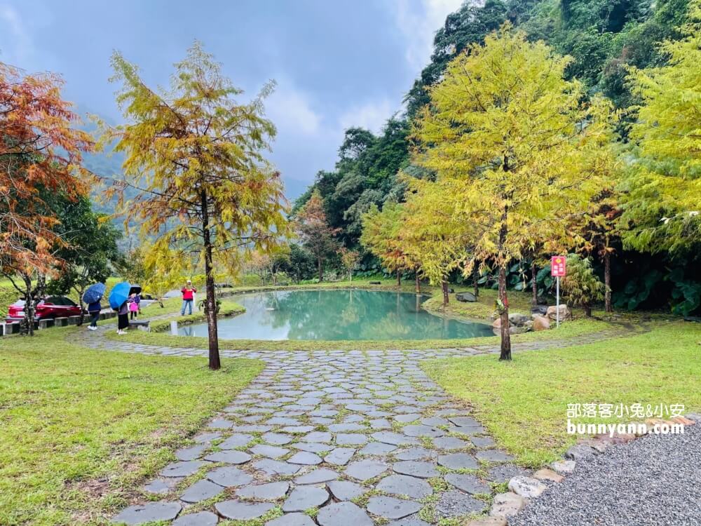 宜蘭三層坪農塘教育園區夠美嗎?漫步階梯水塘落羽松小徑
