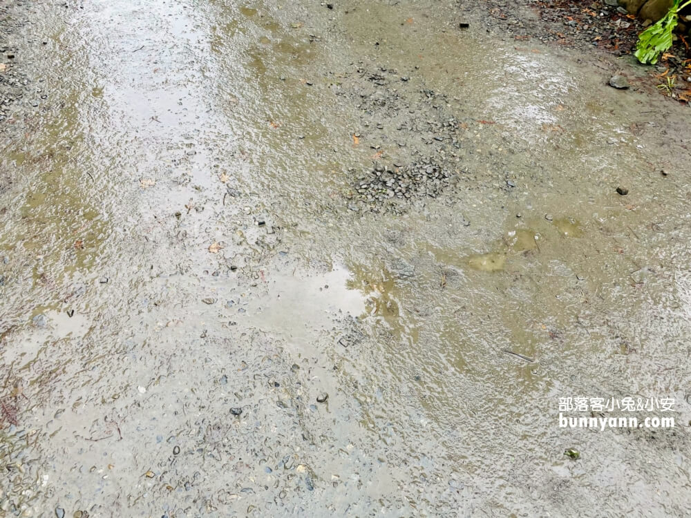 宜蘭三層坪農塘教育園區夠美嗎?漫步階梯水塘落羽松小徑