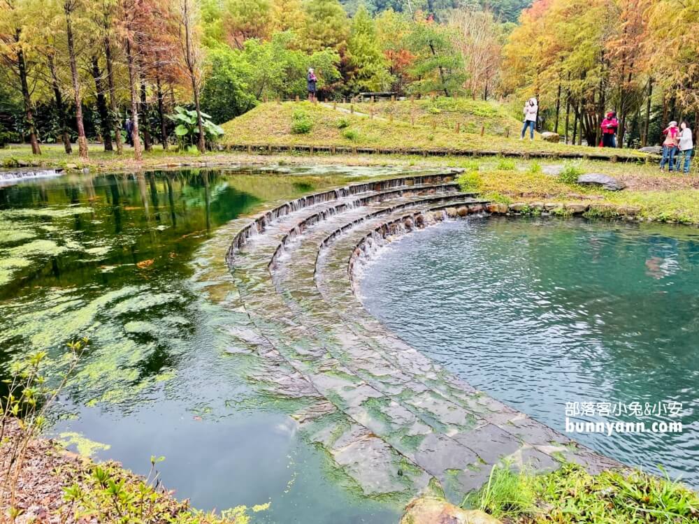 宜蘭三層坪農塘教育園區夠美嗎?漫步階梯水塘落羽松小徑
