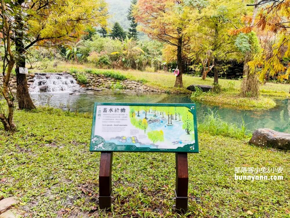 宜蘭三層坪農塘教育園區夠美嗎?漫步階梯水塘落羽松小徑