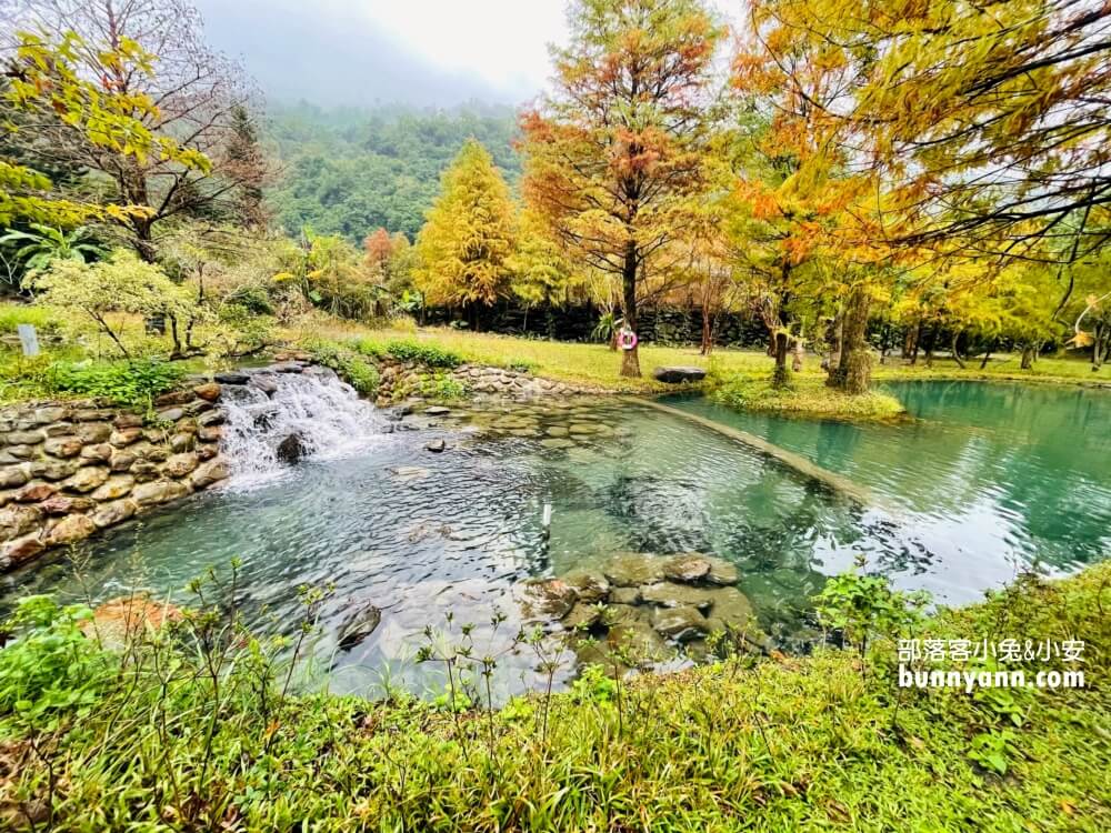 宜蘭三層坪農塘教育園區夠美嗎?漫步階梯水塘落羽松小徑
