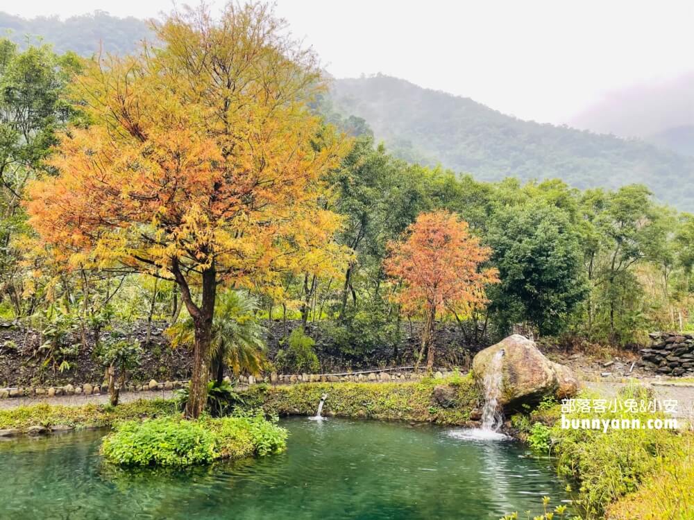 宜蘭三層坪農塘教育園區夠美嗎?漫步階梯水塘落羽松小徑