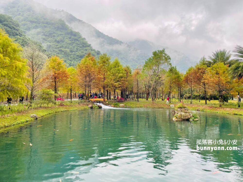 宜蘭三層坪農塘教育園區夠美嗎?漫步階梯水塘落羽松小徑