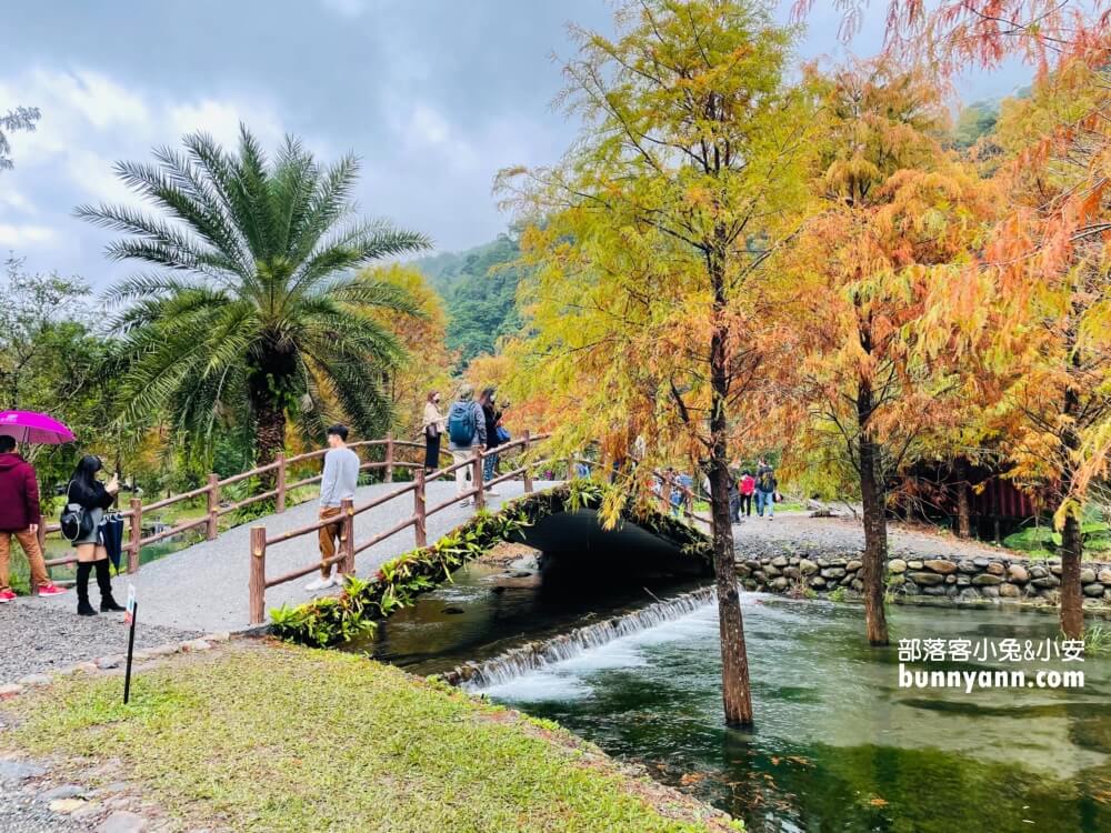 宜蘭三層坪農塘教育園區夠美嗎?漫步階梯水塘落羽松小徑