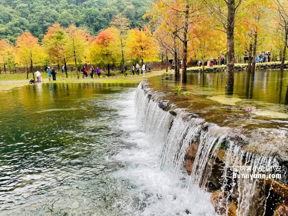 宜蘭三層坪農塘教育園區夠美嗎?漫步階梯水塘落羽松小徑