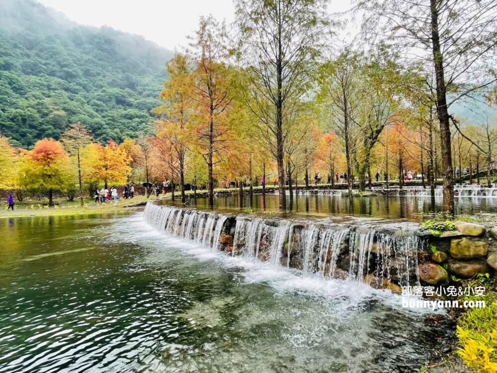 宜蘭三層坪農塘教育園區夠美嗎?漫步階梯水塘落羽松小徑