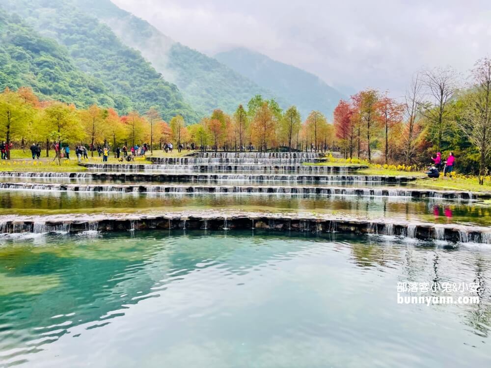 宜蘭三層坪農塘教育園區夠美嗎?漫步階梯水塘落羽松小徑