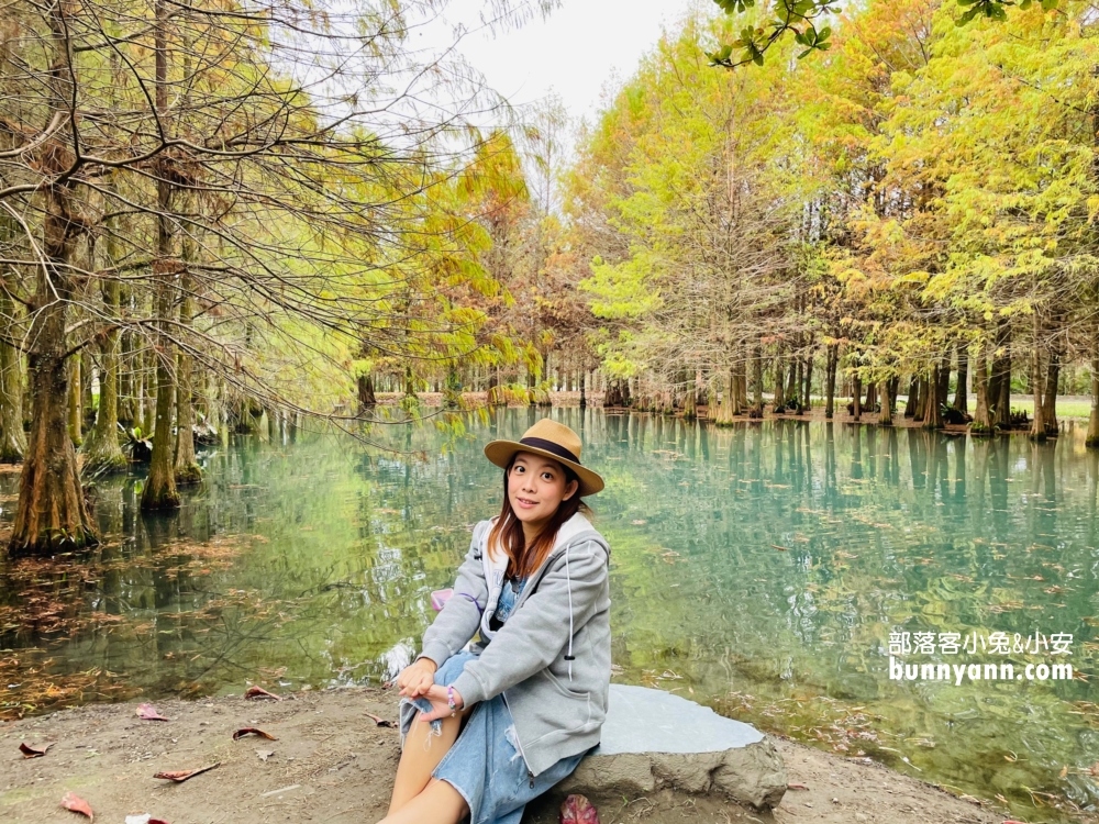 花蓮鈺展苗圃落羽松值得去嗎?落羽松小徑12月初轉紅