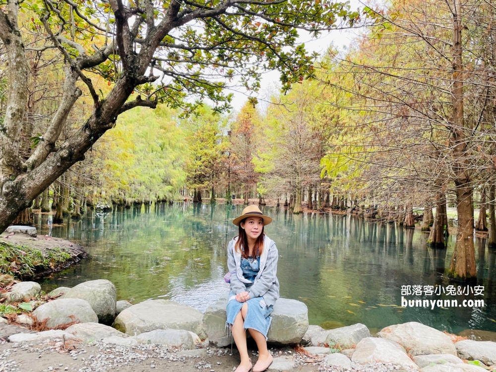 花蓮鈺展苗圃落羽松值得去嗎?落羽松小徑12月初轉紅
