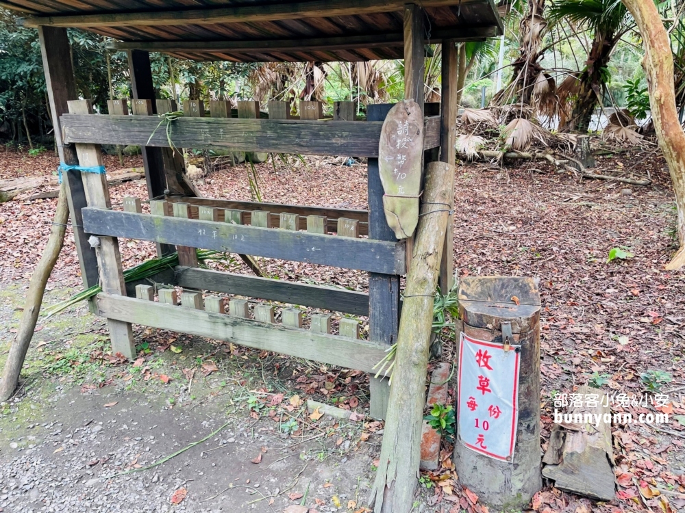 花蓮鈺展苗圃落羽松值得去嗎?落羽松小徑12月初轉紅