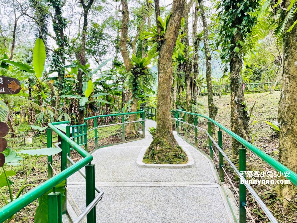 花蓮池南國家森林遊樂區，單程只要步行約30分鐘就能抵達終點林業館
