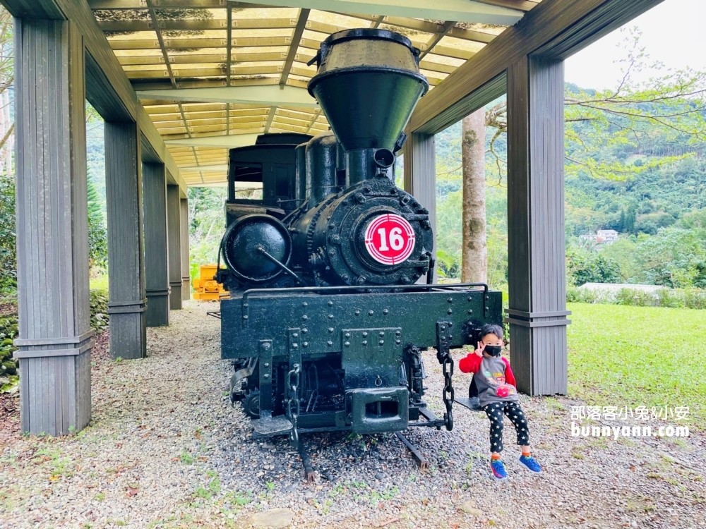花蓮池南國家森林遊樂區，單程只要步行約30分鐘就能抵達終點林業館