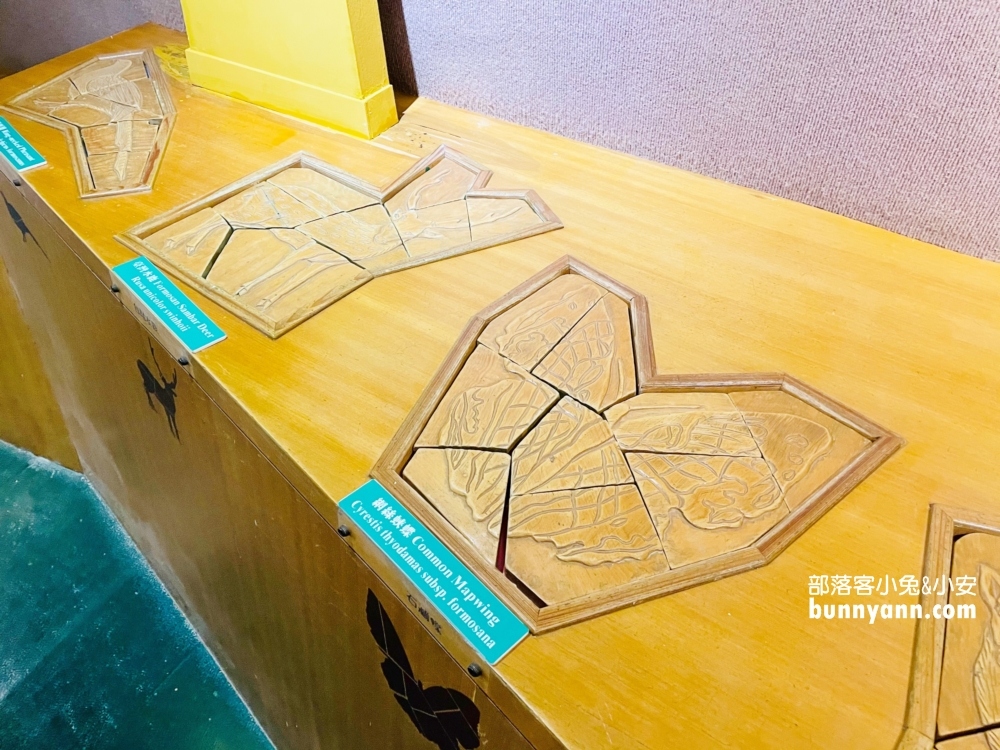 花蓮池南國家森林遊樂區，單程只要步行約30分鐘就能抵達終點林業館
