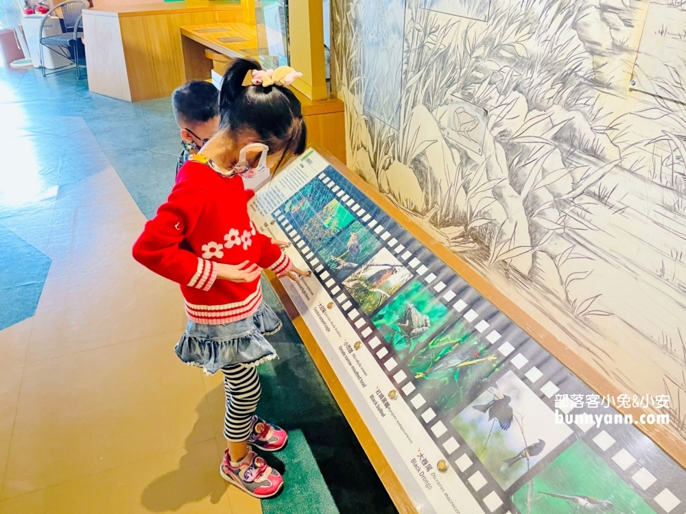 花蓮池南國家森林遊樂區，單程只要步行約30分鐘就能抵達終點林業館