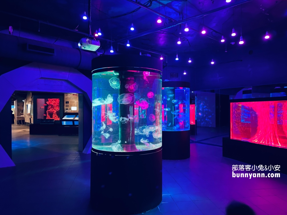 花蓮最佳親子景點，遠雄海洋公園遊樂設施必玩攻略