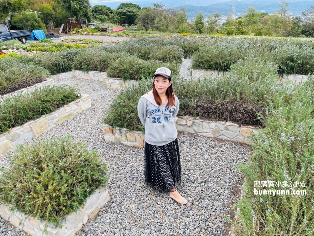 南投29號花園推薦，戶外桃樂絲小花園下午茶秘境