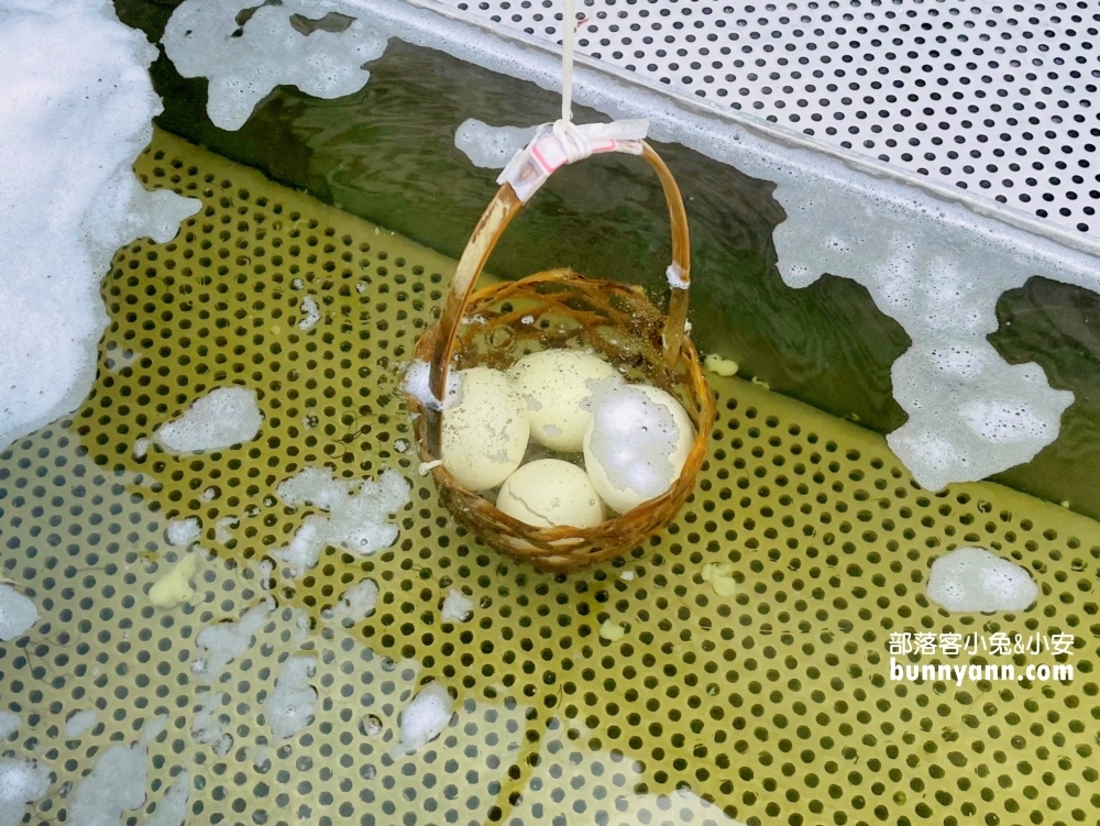 苗栗泰安【泰雅原住民文化產業園區】深山的溫泉煮蛋和泡腳池