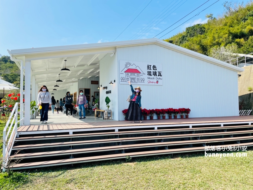 苗栗紅色琉璃瓦草莓園，草莓一斤價格曝光與開放時間