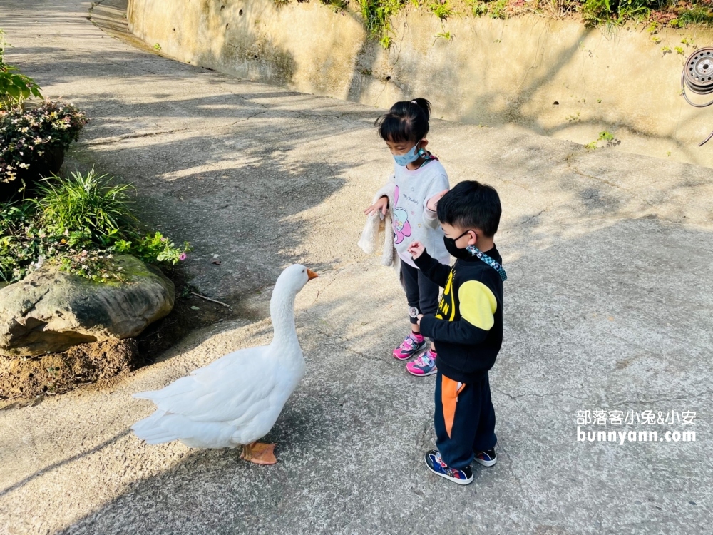 苗栗【湖畔花時間】藏在大湖草莓故鄉的平價露天溫泉風呂