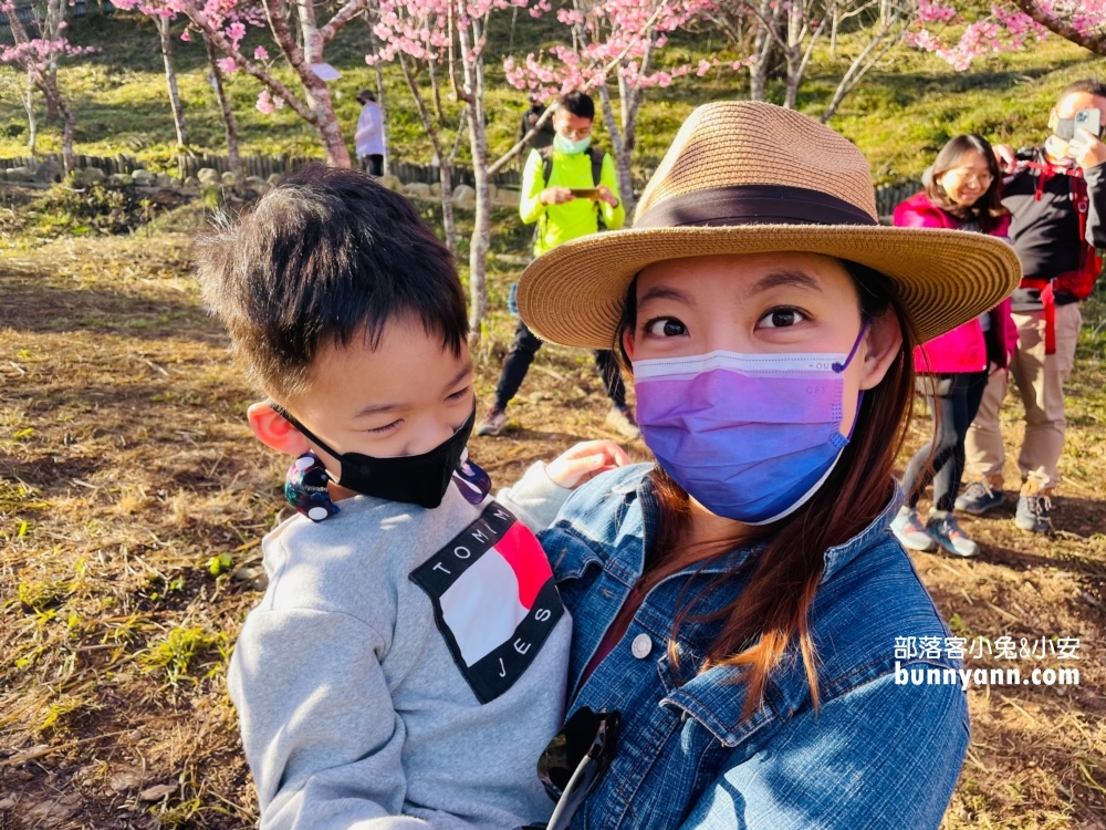 高雄寶山二集團櫻花公園最新花況，停車資訊分享