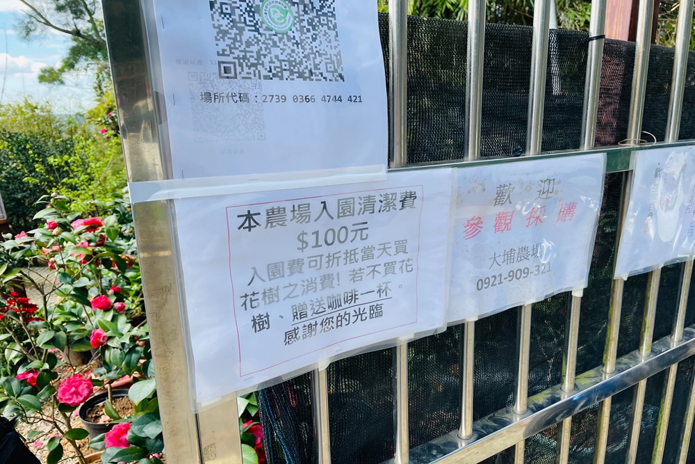 大埔農場紗帽山賞櫻秘境，門票100元漫步日本風櫻花步道