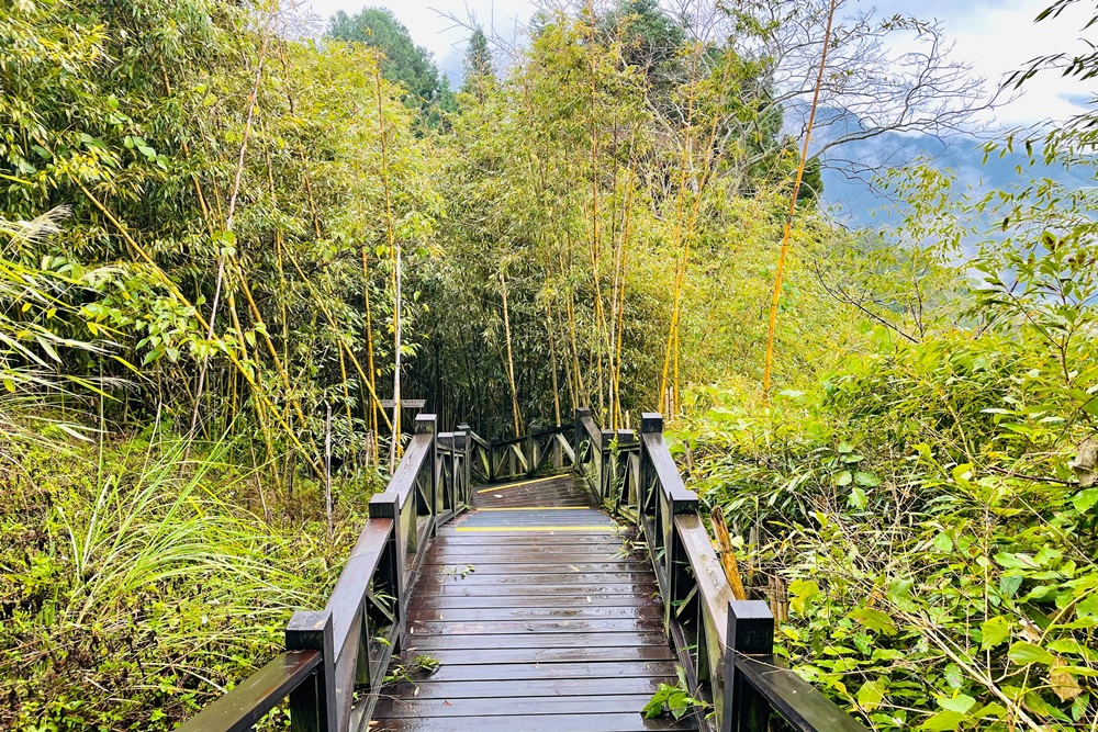 苗栗二本松解說站，丸田砲台文史紀念館，俯瞰大安溪谷景色