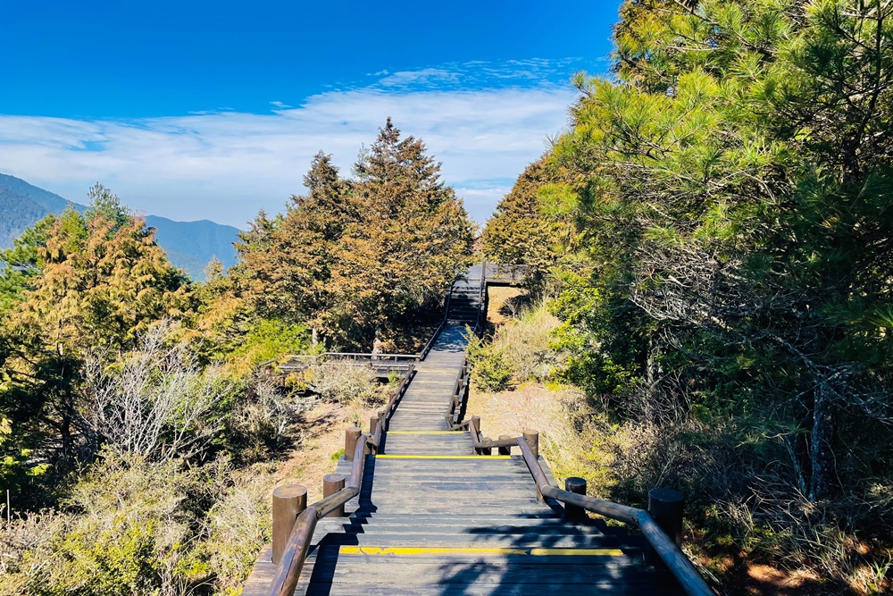 8.觀霧森林園區，戶外登山新竹親子景點