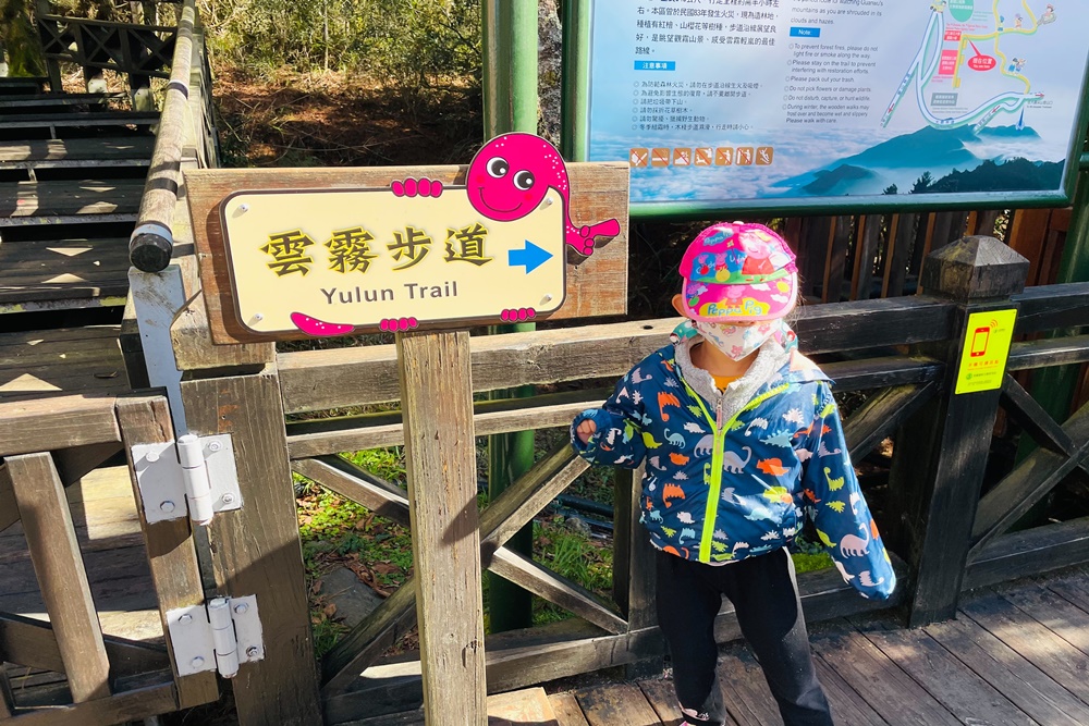 觀霧國家森林遊樂區雲霧步道
