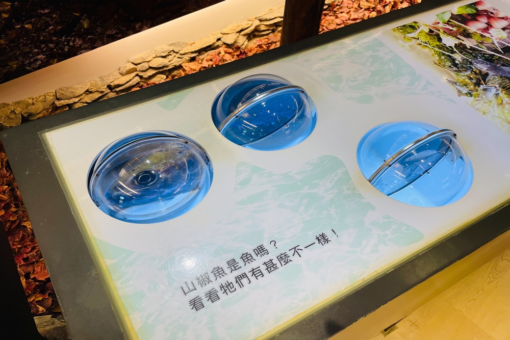 觀霧國家森林遊樂區