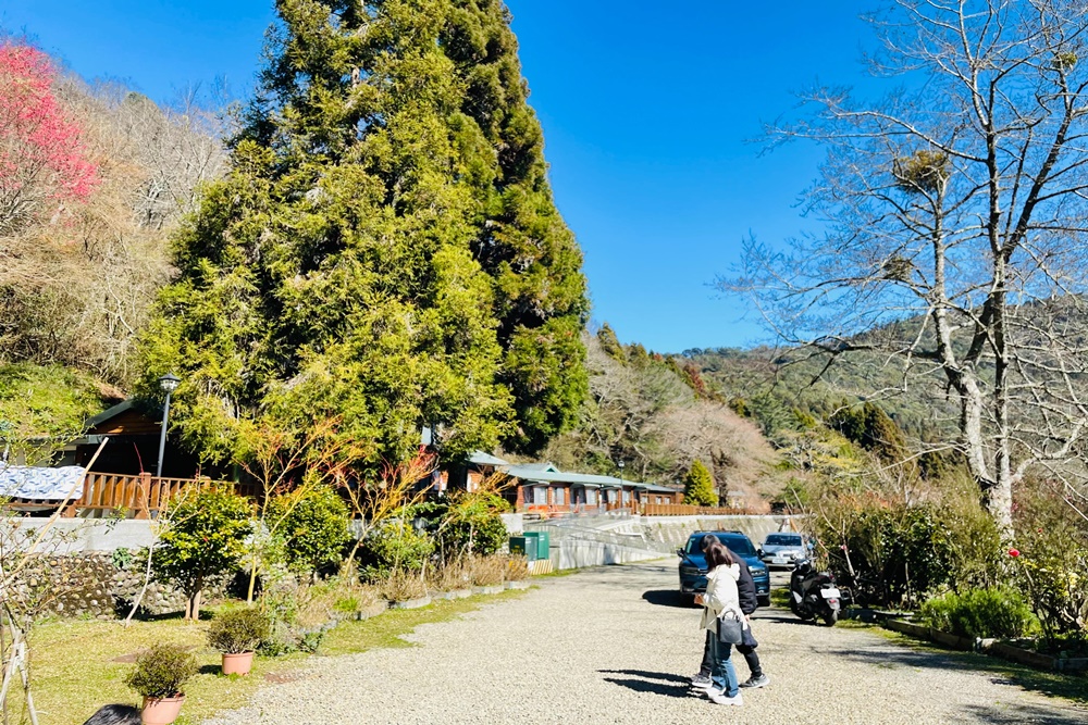 觀霧山莊