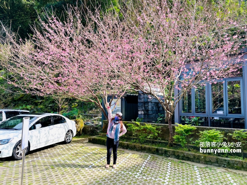 2025新竹【錦屏美人湯館】尖石鄉平價湯屋，戶外大眾池好玩選擇又多