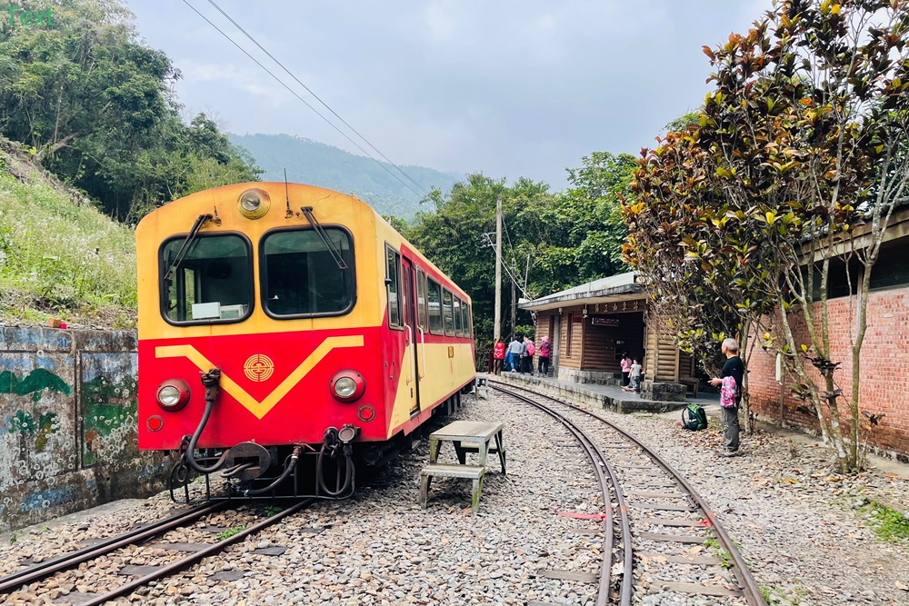 嘉義【獨立山車站】來回兩小時入門等級登山步道