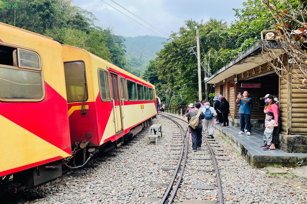 嘉義【獨立山車站】來回兩小時入門等級登山步道