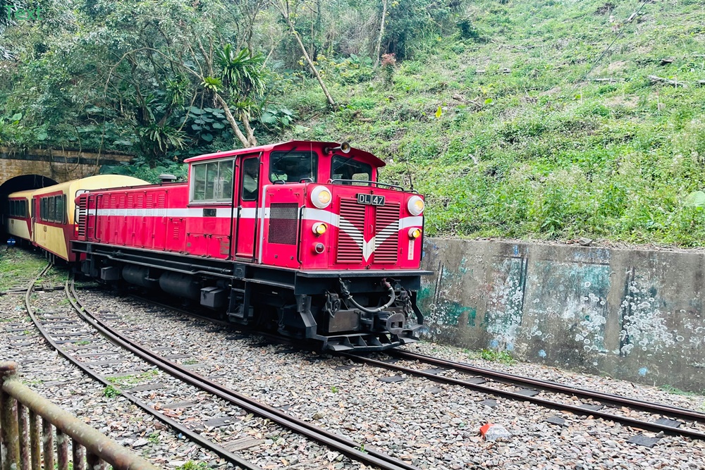 嘉義【獨立山車站】來回兩小時入門等級登山步道，探訪隱藏在深山中的小車站，