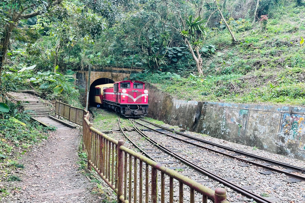 嘉義【獨立山車站】來回兩小時入門等級登山步道，探訪隱藏在深山中的小車站，