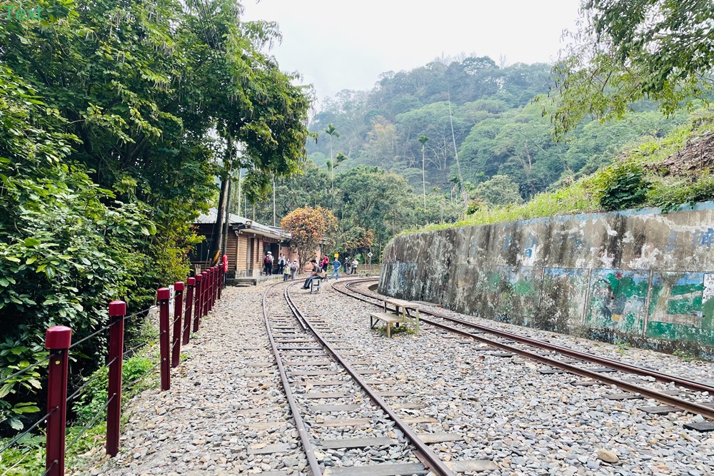 嘉義【獨立山車站】來回兩小時入門等級登山步道，探訪隱藏在深山中的小車站，