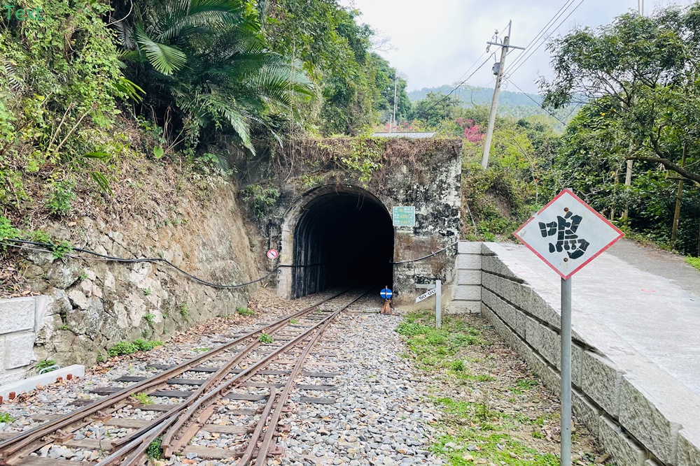 嘉義【獨立山車站】來回兩小時入門等級登山步道，探訪隱藏在深山中的小車站，