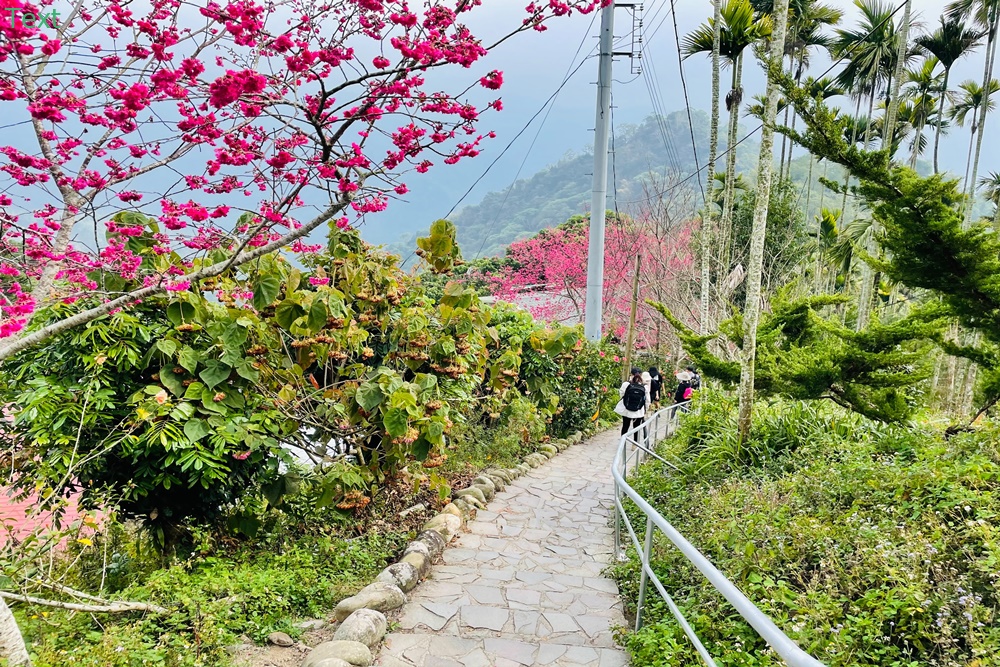 嘉義【獨立山車站】來回兩小時入門等級登山步道，探訪隱藏在深山中的小車站，