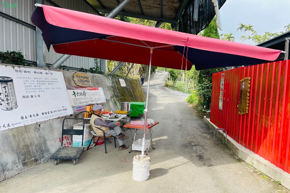 嘉義【獨立山車站】來回兩小時入門等級登山步道，探訪隱藏在深山中的小車站，