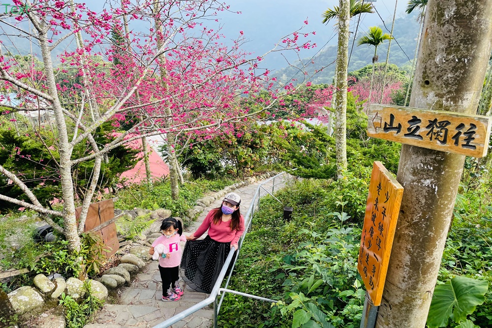 嘉義【獨立山車站】來回兩小時入門等級登山步道，探訪隱藏在深山中的小車站，