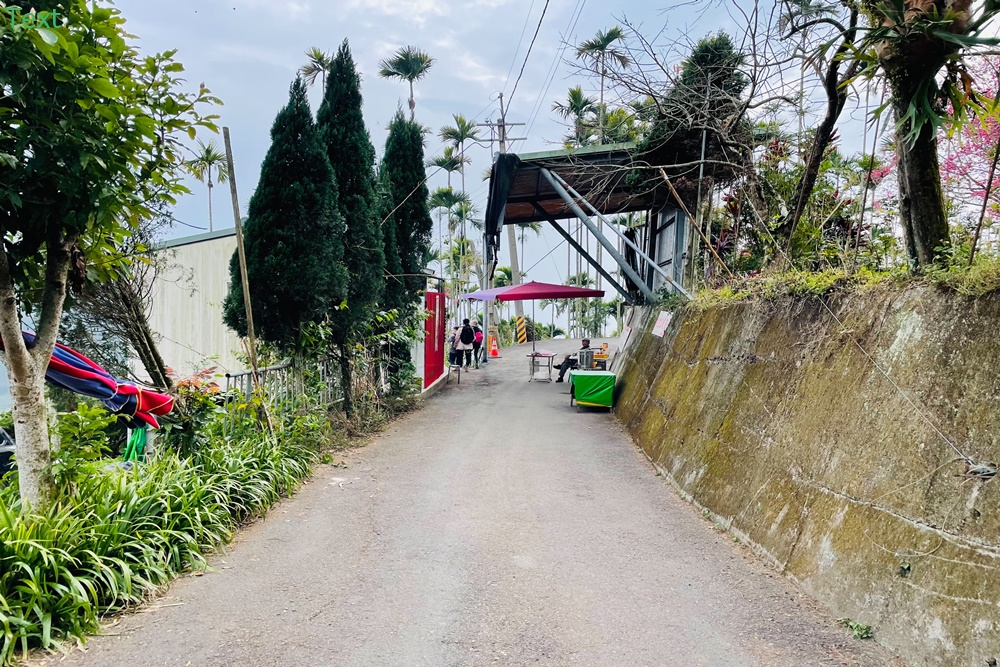 嘉義【獨立山車站】來回兩小時入門等級登山步道，探訪隱藏在深山中的小車站，