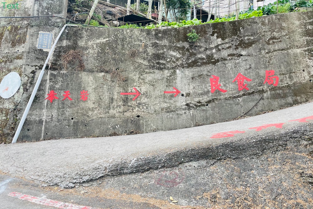 嘉義【獨立山車站】來回兩小時入門等級登山步道，探訪隱藏在深山中的小車站，